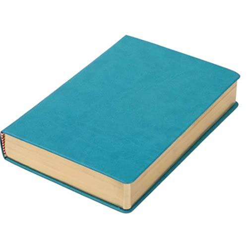 Livre d'or retro A5 en cuir vert de 600 pages vierges un grimoire de qualite superieure