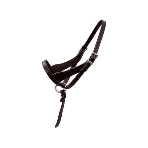 Paris Tack Double Layered Leather Grow with Me Adjustable Horse Foal Halter with Extra Crown Piece Cover