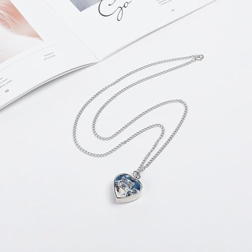 Collier urne pour cendres d'animaux : solution de deuil avec kit entonnoir