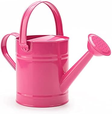 Watering can Iron Pot Bonsai Plant Shower Household Garden Basin Sprinkler Irrigation Supplies Watering Kettle Gardening Tools image 2