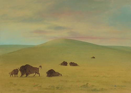 Décoration Murale 60x90cm moderne pour réveiller un mur vide avec l'art de George Catlin