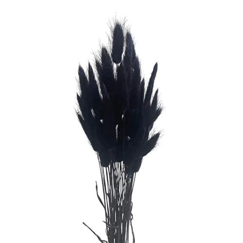 Pampas Grass Decor Tall 50 Piezas Style 2 miniatura 1