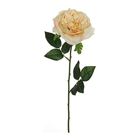 Pandecor Artificial Garden Rose Cream Color L. 58 cm Cover