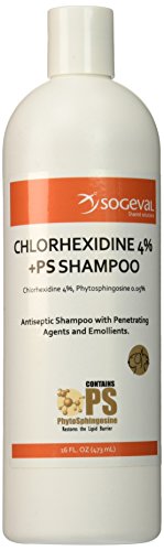 Dr. Muller Pet Solutions Chlorhexidine 4% Shampoo for Dogs, Cats, Horses, 16 oz