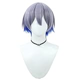 TTYAO REII ウィッグ かつら コスプレウィッグ 髪 コスプレ用小物 コスチューム小物 変装用 cosplay ハロウィン クリスマス 仮装 イベント 文化祭 祭り 耐熱 wig ネット付き (小柳ロウ)