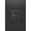 Graphite with Wall Plate