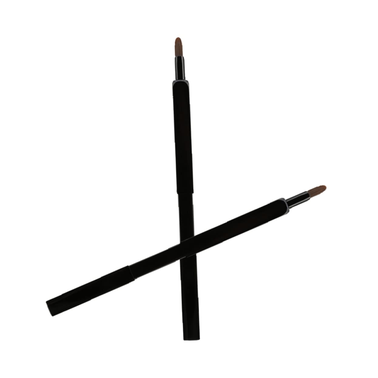 FRCOLOR Retractable Lip Brush with Premium Nylon Fibers Portable Makeup Applicator Black for Daily Use and Travel for Precise Lip Shaping and Blending