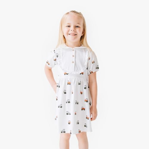 Pickle & Pumpkin Organic Cotton Short Sleeve Dress For Girls thumb #4