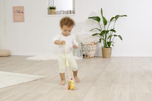 Eichhorn 100006804 - Statuetta A Forma Di Ape, Colore: Giallo - 5