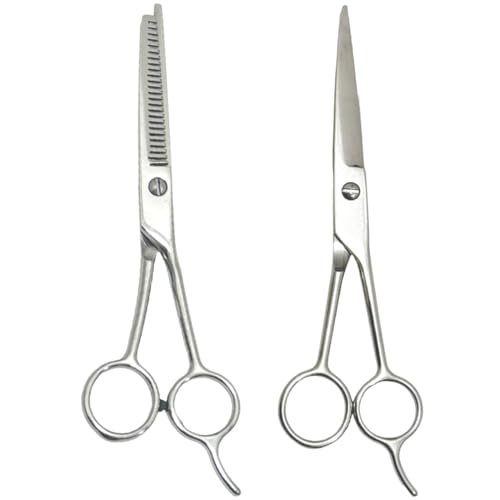 Pack de 2 Tijeras Profesionales para Cortar Cabello, Tijera de Corte + Entresacar, Tijeras de Acero Inoxidable, Tijeras de Cortar Pelo, (plata, 2 pieza)