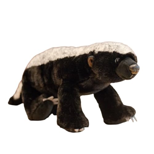 Peluche ratel kawaii champracer de 50 cm pour chambre d'enfant