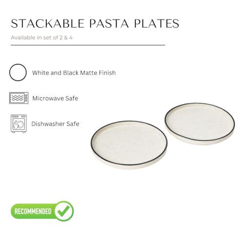 Image of Beyond Homes Ceramic Dinner Plates (Black and White), Set of 2
