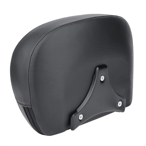 Barre Sissy Passager de Qualité Supérieure pour Harley Freewheeler FLRT 2015-2020
