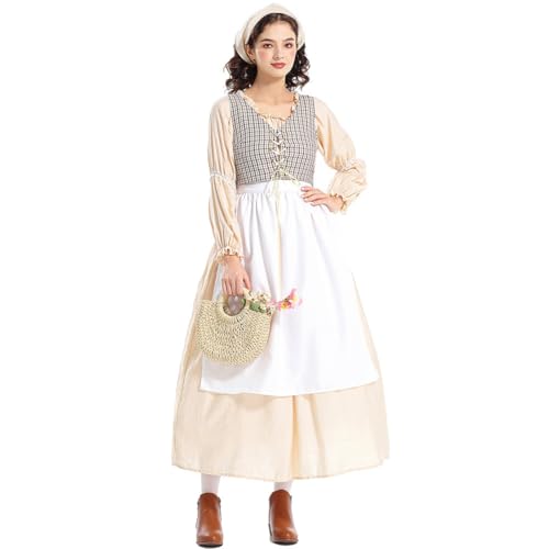 Déguisement d'Halloween pour femme robe Cendrillon adulte costume de conte de fées