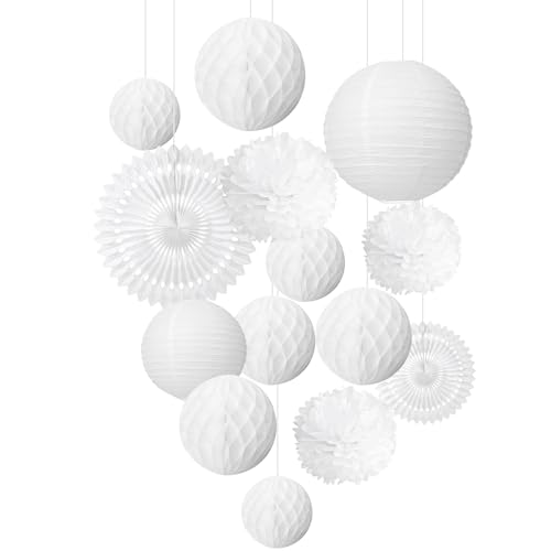 EASY JOY White Party Decoration Mariage Blanc Pompon Papier de Soie Fleur Rosace Papier Lanterne Chinoise Wedding Chambre Mariage Deco - 12pcs