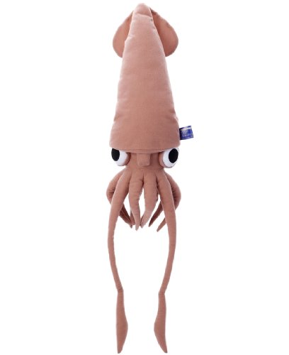 深世界ゟ 幻の深海巨大イカ 01 Of 03 ニコニコ動画