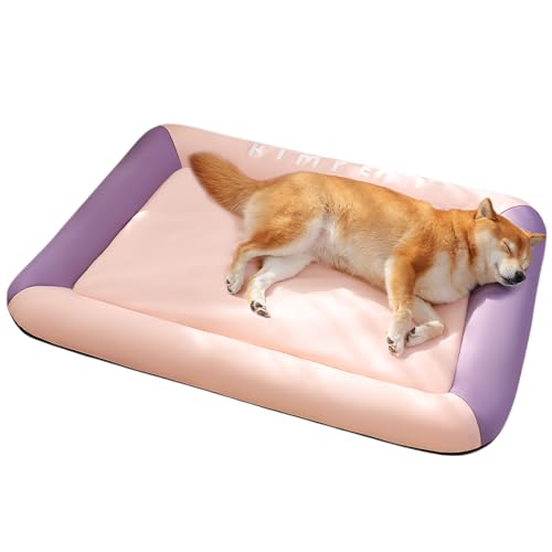 [starrycoo]yybg}bgzIbNXn pxbh h c[gJ[ 􂢂₷ P[Wp ϋv ybg̉K