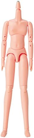 1/6 scale Obitsu 23cm female body 23BD-F01N Natural skin