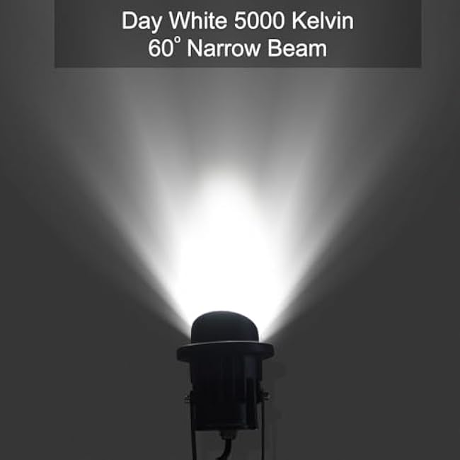 GBS9809 LED Spotlights, 9W 120V Line Voltage, 5000K Daylight, with Metal Ground Stake, Outdoor Flag Light, Landscape Spotlight, Corded Plug, Not Dimmable