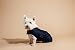 Kentucky - Hundemantel - Marineblau - S/M - 39-43cm