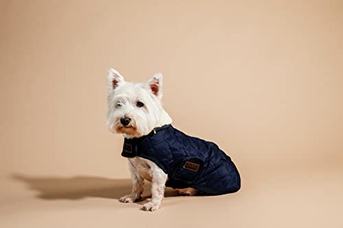 Kentucky Dogwear Hundemantel 160g, XS/navy