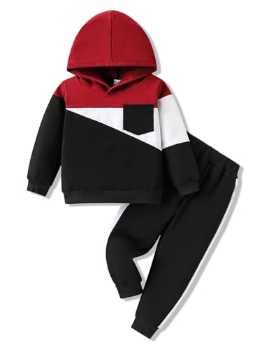 Image of 2-6T Toddler Baby Boy Clothes Color Blocking Hoodies + Pants Fall Winter Outfits