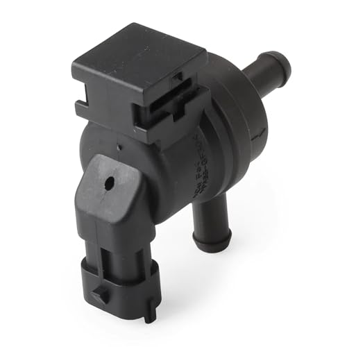 Électrovanne de purge résout odeur essence et ralenti instable Santa Fe Sonata