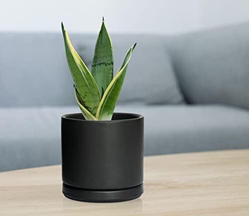 Set Of 4 Small Succulent Plant Pots, 4.6 Inch Ceramic Planter Pot For Plants With Drainage Hole And Saucer, Black, 94-F-Xs-2 #TOP1