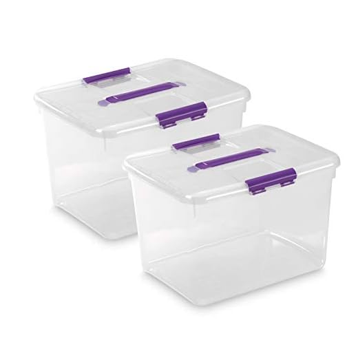 TODO HOGAR - Caja Plástico Almacenaje Grandes Multiusos con Asa - Medidas 425 x 325 x 280 mm - Capacidad de 30 litros (2)