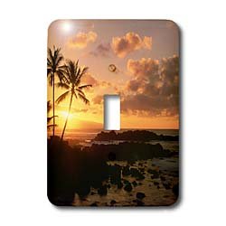 Interrupteur Hawaii North Shore pour une ambiance tropicale dans votre salon
