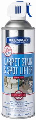No Scent Stain Remover 22 oz. Spray
