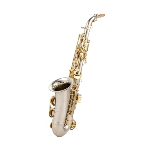 TbNX Etbg̃AgTbNXA⃁bLAvdl̊yA}EXs[XAP[XAܕt