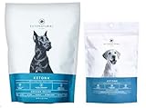 Ketona Chicken Recipe Dry Dog Food (4.2lb) and Chicken Liver Dog Treats Bundle, High Protein and Low...