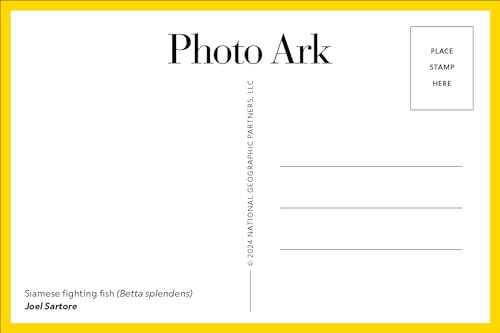 Photo Ark: 50 Postcards (The Photo Ark) - Image 5
