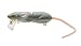 Spro SRT40Z1GGT BBZ-1 Rat 40 Jr. Fishing Bait