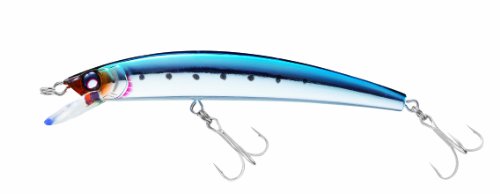 Crystal Minnow Long Cast attraper les bars lointains en mer