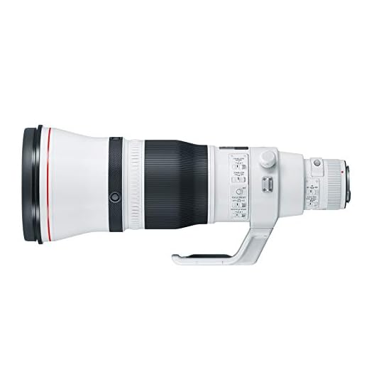 Canon EF 600mm f/4L IS III USM Lens