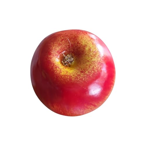 GMMH Künstlicher Deko Apfel, 5 Stück (Rot, 20-40 g/St) Lebensechtes Plastikobst, Äpfel Plastikfrucht, Kunstobst, Frucht, Dekoration, Schaufenster, Haushalt, Küche, Party, Hotel, 5 Pack