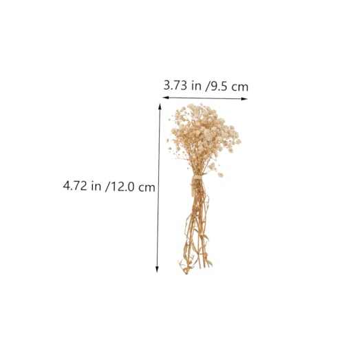 Ramo de flores secas preservadas Babysbreath 5 piezas miniatura 2