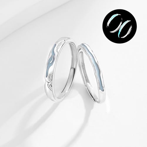 Bague pour homme en argent rivière de lumières parfait accessoire du quotidien