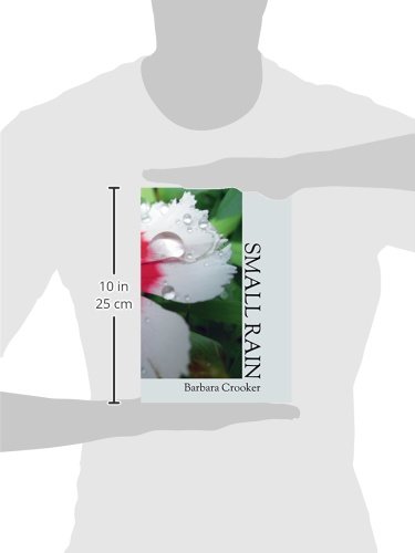 Small Rain - Image 3