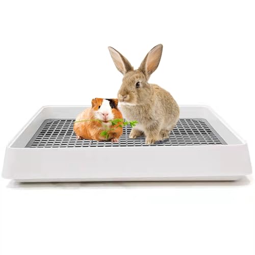 KEYIDE bg gC lp  gC 傫 bVXmR pgC ^ ETMpi  Ȃ݉ 38×31cmyLXy[XKɁz