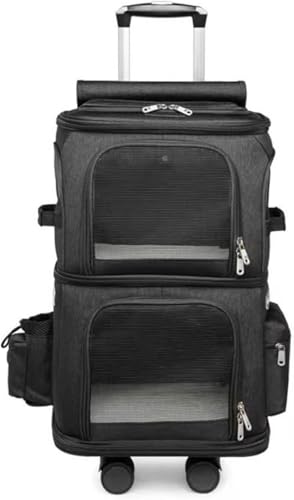 AZIEBAYybgpLX^[tobNpbNExr[J[AdwAeʁAʋCAsEa@KEAΉ SĂ߂