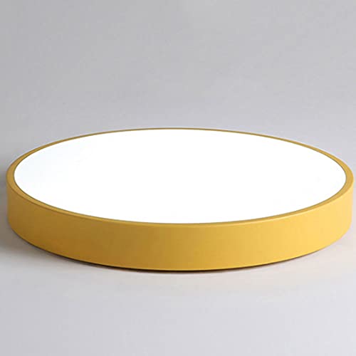 Lampe à lumière du plafond bleu de 12 pouces et 24W pour un toit bas