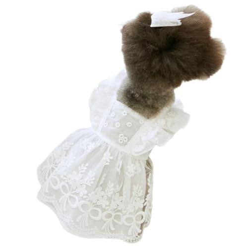   āA[X̃tCOX[uvZXhXAefBxAAwbhhX (zCg,M)