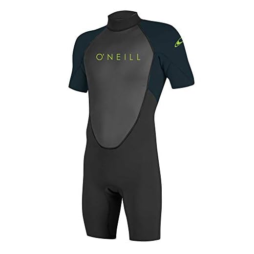 O'Neill Wetsuits Jungen Reactor II 2mm Back Zip Spring Wetsuit Neoprenanzug, Black/Slate, 10