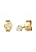 Produktbild DIAMORE Ohrringe Damen Ohrstecker Solitär Basic Edel mit Diamant (0.06 ct.) in 585 Gelbgold