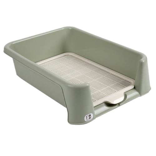 Lamantt^p̑^S[fgo[ppgCŁA񂿂𓥂ł܂̂h܂BgCpi (,)