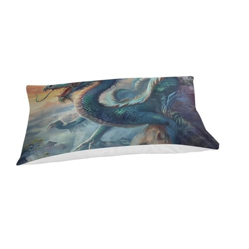 Housse de couette dragon avec fermeture éclair parure de lit microfibre