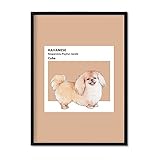 bichon habanero precio costa rica TAMAÑO: A4 (21x29.7cm) Nacnic Lámina Bichón Habanero. Pósters con ilustraciones de razas de perro en tonos cálidos y pastel. Decoración de interiores. Tamaño A4.